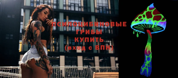 дживик Зеленодольск