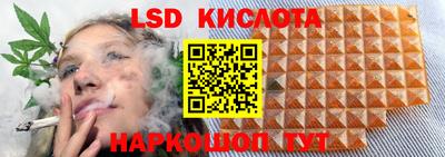 Альфа ПВП Донецк
