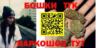 гашик Дубна