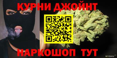 гашик Дубна