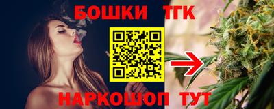 гашик Дубна