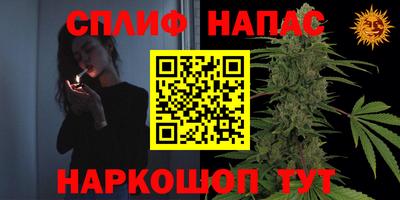 гашик Дубна