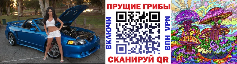 Псилоцибиновые грибы Psilocybe Миасс